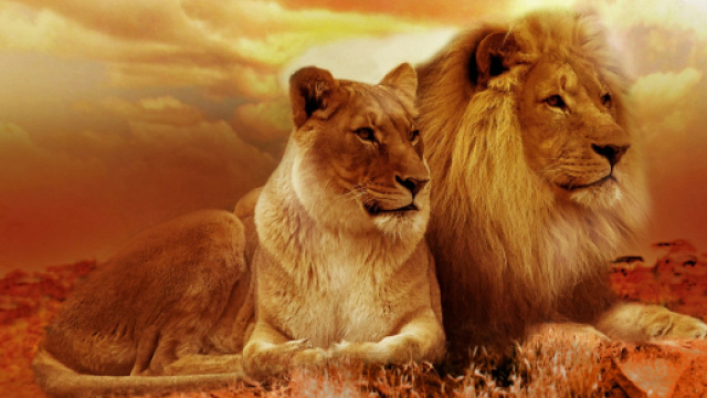 Oroscopo 9 settembre: sorprese in amore per Leone.