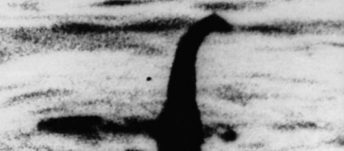 Il mostro di Loch Ness potrebbe essere un'anguilla gigante.