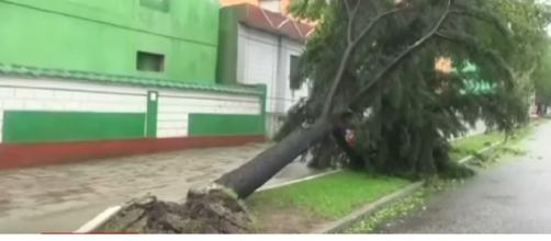 Typhoon Lingling kills three. [Image source/Sky News Australia YouTube video]