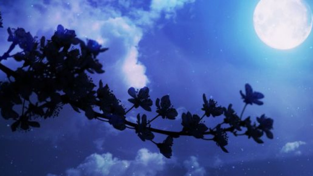Predizioni zodiacali mercoledì 15 gennaio: Ariete con Luna a favore, Sagittario favorito nel lavoro