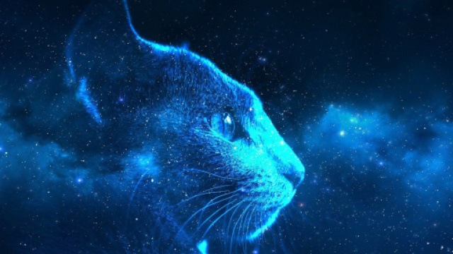 Oroscopo di domani 20 gennaio 2020 | Astrologia, classifica stelline e previsioni primi sei segni
