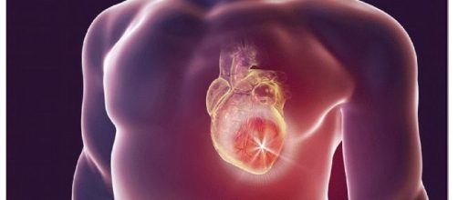 Un batterio intestinale (Escherichia Coli) potrebbe essere una delle Cause della formazione di trombi e dell’infarto. Una scoperta italiana.