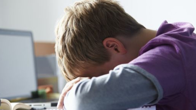 Cyberbullismo nelle scuole di Roma