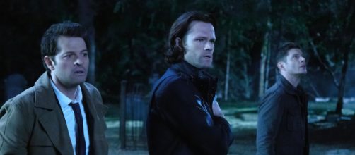 Supernatural chega na sua última temporada, para a tristeza dos fãs. (Arquivo Blasting News)