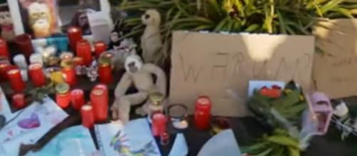 Tragic fire at German zoo ape house kills dozens of animals. [Image source/DW News YouTube video]