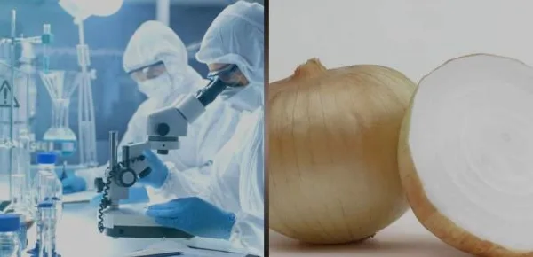 Descubren un pigmento que reduce la presión arterial.