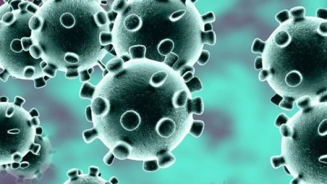 First U.S. Case of China Coronavirus Diagnosed - webmd.com