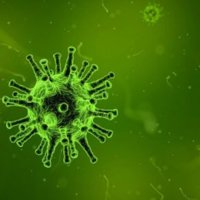 Sanidad no descarta que aparezca algún caso del coronavirus en España. Pixabay
