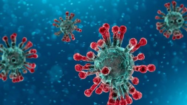 I primi casi di polmonite da coronavirus 2019-nCoV, sono stati registrati al mercato di Huanan Seafood, nella città di Wuhan, nella Cina centrale