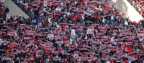 Frosinone-Bari, scontri: Daspo di gruppo per 52 tifosi baresi - calcioblog.it