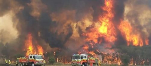 Australia bushfire 'came through like a cyclone.'[Image source/Sky News YouTube video]
