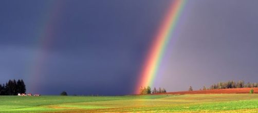 L'oroscopo di venerdì 31 gennaio: ultimo giorno del mese favorevole al Cancro, Leone distratto.