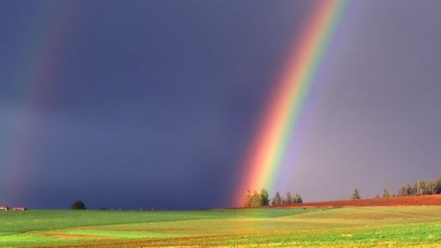 L'oroscopo di venerdì 31 gennaio: ultimo giorno del mese favorevole al Cancro, Leone distratto.