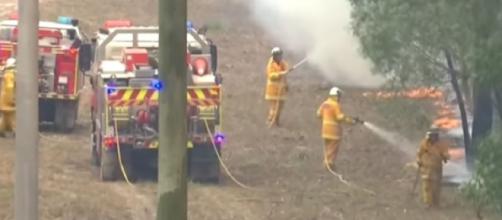 Deaths, losses mounting in Australia's disastrous bush fires. [Image source/Global News YouTube video]