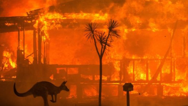 Emergenza ambientale in Australia