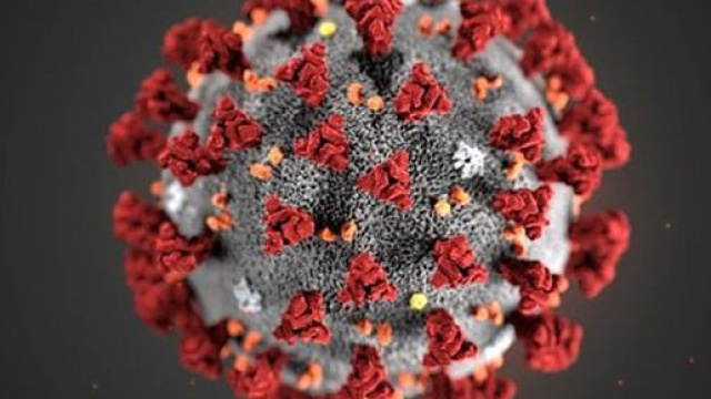 Coronavirus, rientreranno il 3 febbraio gli italiani sino a ora nella località di Wuhan.