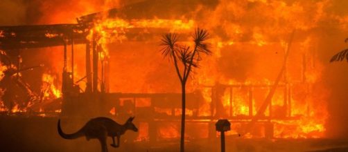 Emergenza in Australia: il bilancio è di 24 morti e 100 mila sfollati. - Credit: possibile.com