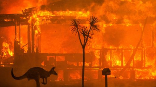 Emergenza in Australia: il bilancio è di 24 morti e 100 mila sfollati. - Credit: possibile.com
