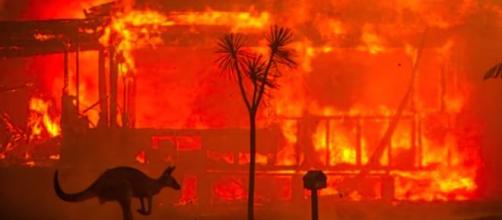 Les feux en Australie dévastent le continent. Credit: Capture d'écran/BBC
