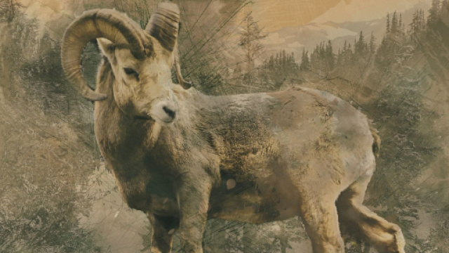 Oroscopo 8 gennaio, classifica: responsabilità per Capricorno, Cancro geloso.