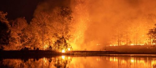 Imagens chocaram o mundo. (Arquivo Blasting News)