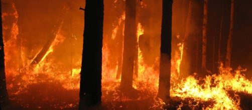 Australia: un'ondata di calore fa temere il divampare di nuovi incendi