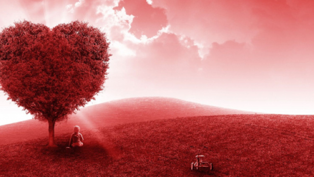 Oroscopo sull'amore di novembre: flirt per i Pesci, Cancro passionale.