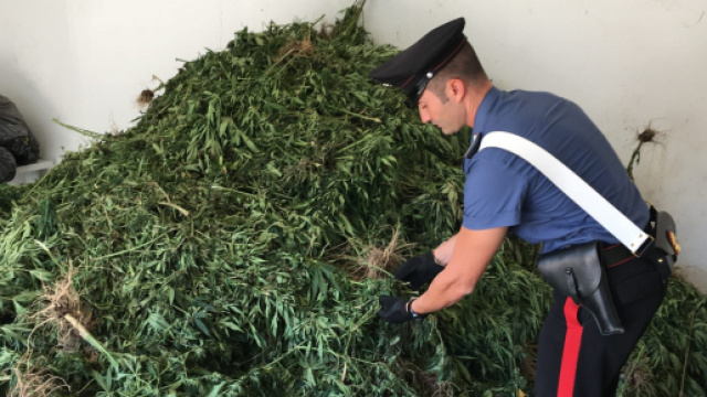 Operazione antidroga dei carabinieri di Bono.