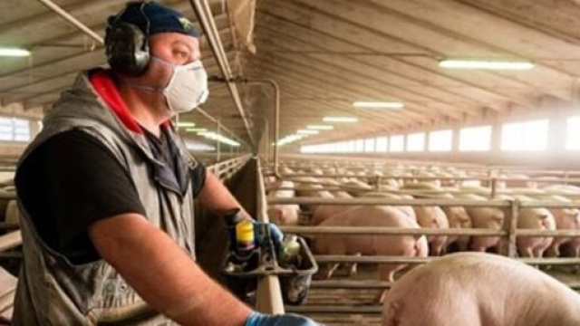 Vers une nouvelle forme de covid ? Les chercheurs tirent la sonnette d'alarme