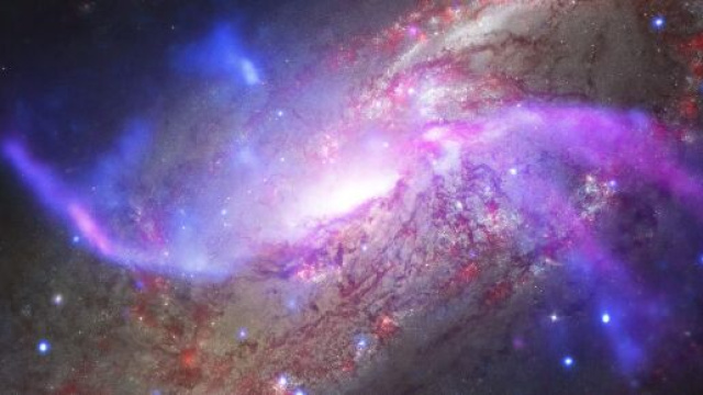 L'oroscopo del weekend sino al 1° novembre: serenità per la Bilancia, Luna in Gemelli.