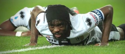 Gervinho, punta ivoriana del Parma.