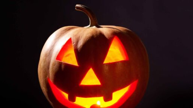 Your Complete Guide to Halloween in Chicago 2020 - timeout.com