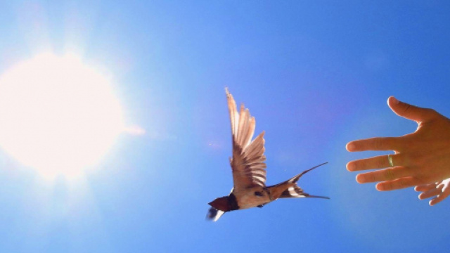 L'oroscopo di domani 5 novembre, 1ª sestina: ottimo giovedì per Toro e Cancro.