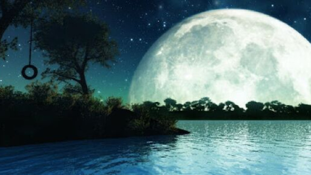 Previsioni astrologiche del 6 ottobre: Leone curioso e Sagittario a contatto con la natura.