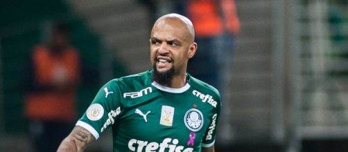 Felipe Melo sofreu lesão no tornozelo e não joga mais pelo Palmeiras em 2020. (Arquivo Blasting News)