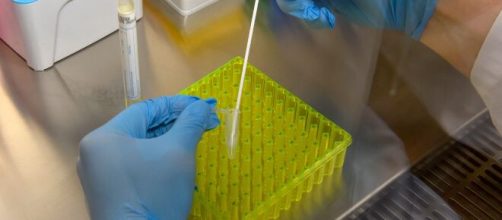 Coronavirus, oggi 11 novembre in Italia 32.961 nuovi casi e 623 decessi.