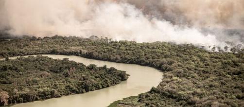 Desmatamento da floresta amazônica. (Arquivo Blasting News)