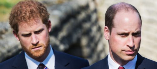 Prince Harry and Prince William Respond to Claims That Their ... - vanityfair.com
