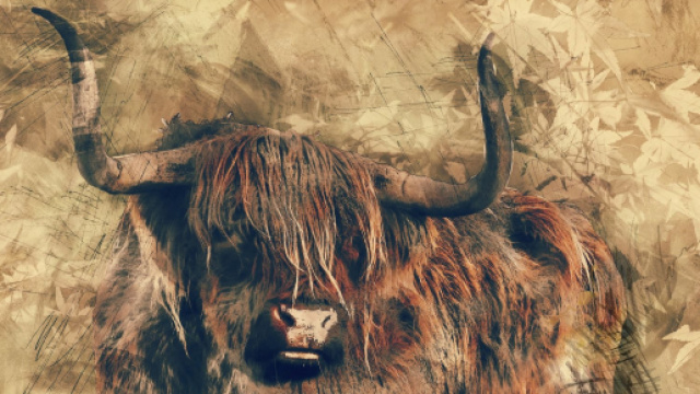 Oroscopo di dicembre per il Toro: probabili compromessi professionali, amore in stand-by.