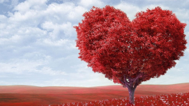 Oroscopo sull'amore di dicembre: possibili adulteri per il Capricorno, Ariete focosa.