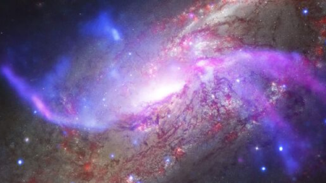 Previsioni oroscopo per la giornata di domenica 22 novembre 2020.