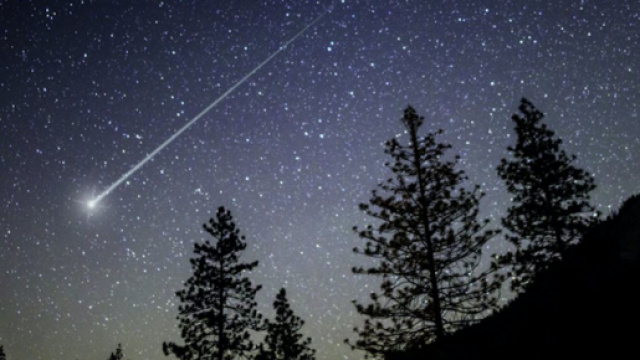 Previsioni zodiacali del 24 novembre: Cancro energico, Scorpione innamorato.