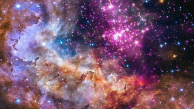 Previsioni zodiacali del 25 novembre: Ariete intraprendente, Leone curioso.