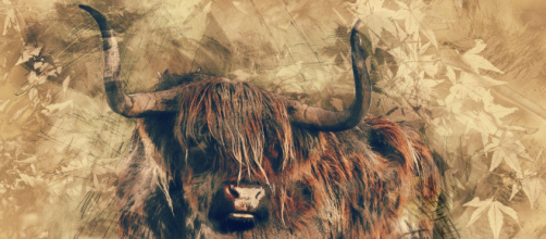 Oroscopo e classifica di venerdì 27 novembre: Toro lungimirante, Scorpione bizzoso.