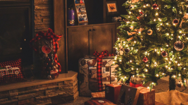 Le professeur Salomon recommande de ne pas dîner avec les plus âgés à Noël. Credit:Pexels/Brett Sayles