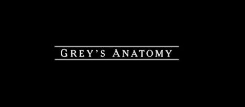 Grey's Anatomy 17 potrebbe avere 16 episodi, in Usa prevista una pausa da dicembre a marzo.