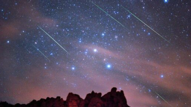 Previsioni zodiacali del 1° dicembre: Ariete e Leone positivi, Capricorno timoroso.