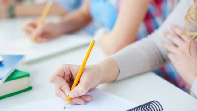 Comune di Cremona: bando per l'assunzione di 27 unità tra diplomati e laureati.