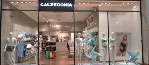 Calzedonia, offerta di lavoro: oltre 100 assunzioni nei punti vendita.