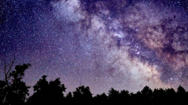 Oroscopo e previsioni zodiacali del 9 novembre: Toro passionale, Scorpione goloso.
